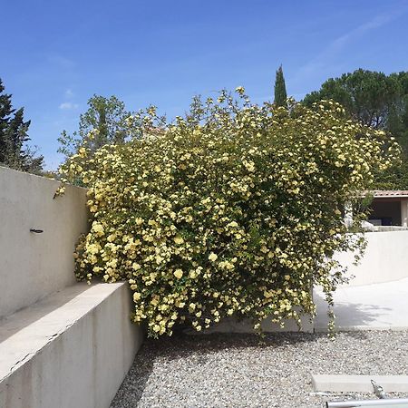 Chambres D'Hotes, B&B Climatisees La Borrellienne Сен-Максимен-ла-Сент-Бом Экстерьер фото