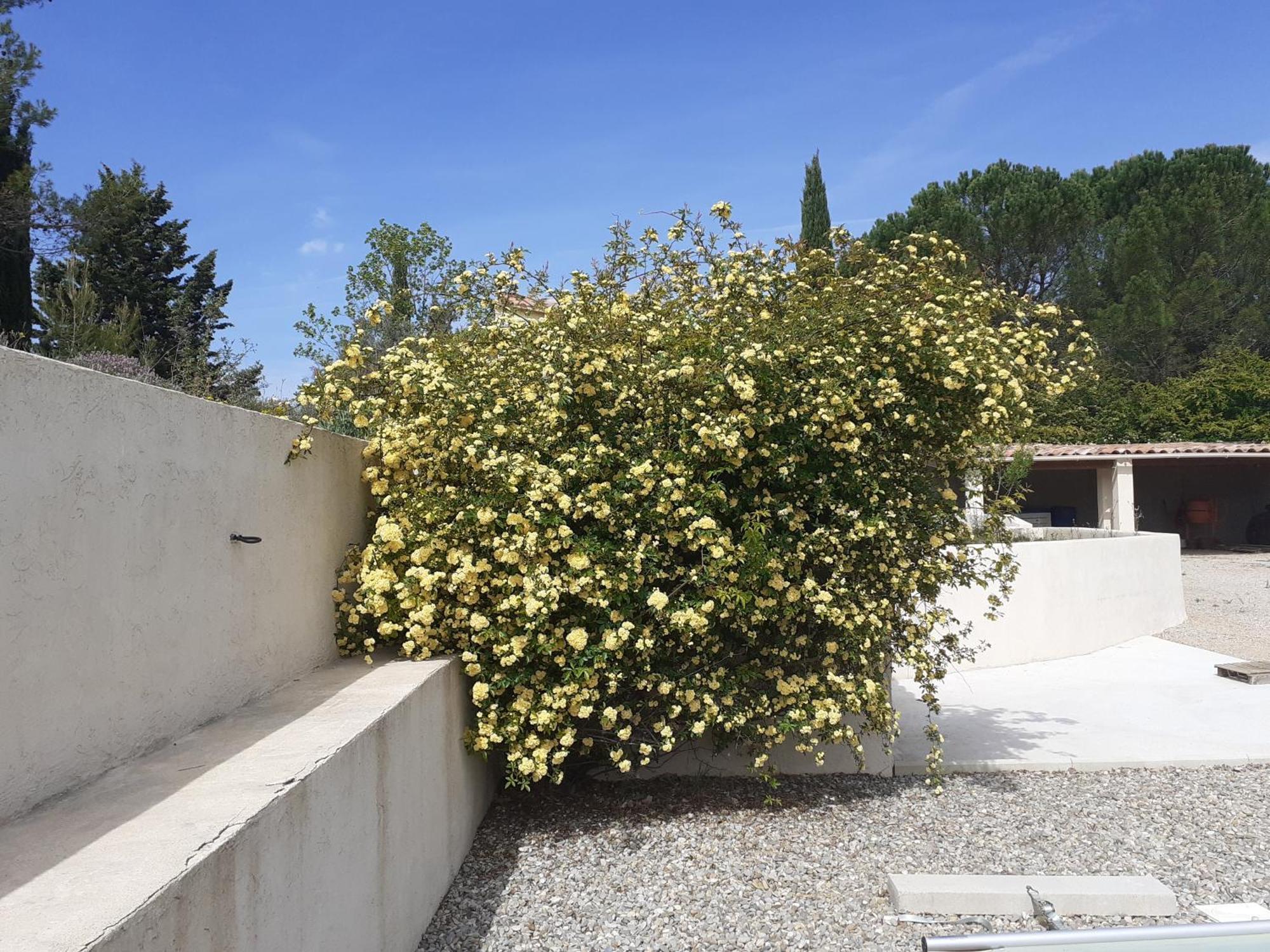 Chambres D'Hotes, B&B Climatisees La Borrellienne Сен-Максимен-ла-Сент-Бом Экстерьер фото